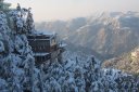 Shimla